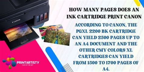 How Many Pages Can Ink Cartridge Print: A Detailed Analysis with Multiple Perspectives