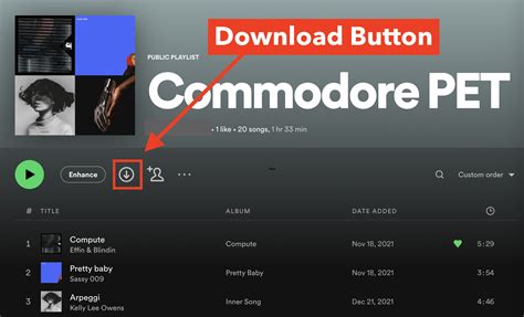 How to Download Music from Spotify to Computer: A Diverse View